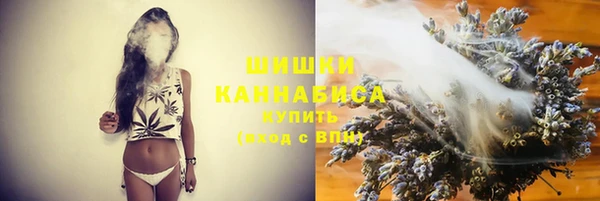 амф Бородино