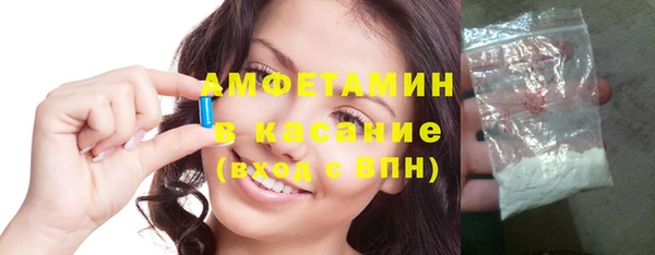 амф Бородино