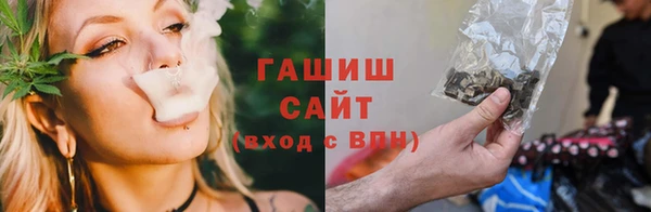 амф Бородино