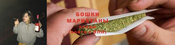 амф Бородино