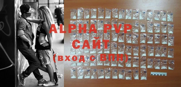 амф Бородино